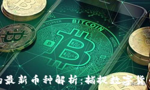   
TP钱包里的最新币种解析：捕捉数字货币的新机遇