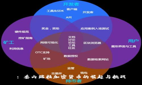 : 委内瑞拉加密货币的崛起与挑战