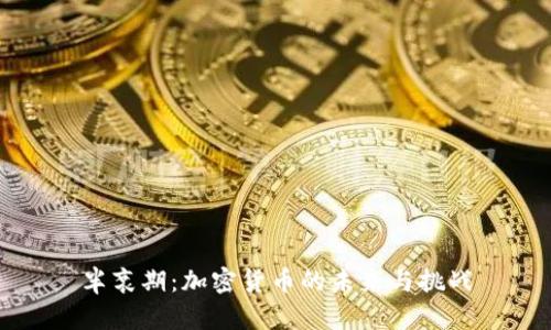 半衰期：加密货币的未来与挑战