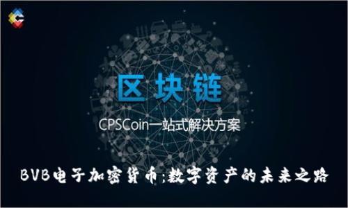 BVB电子加密货币：数字资产的未来之路