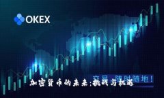 加密货币的未来：挑战与