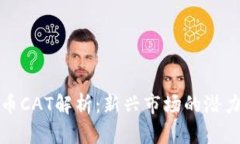 加密货币CAT解析：新兴市