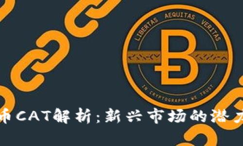 加密货币CAT解析：新兴市场的潜力与挑战