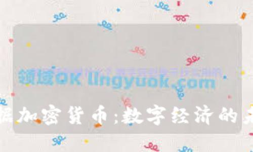 天下数据加密货币：数字经济的未来之钥