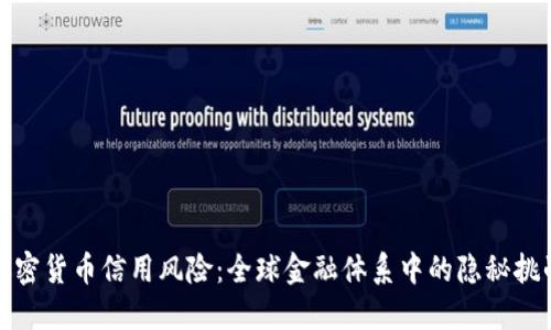 加密货币信用风险：全球金融体系中的隐秘挑战