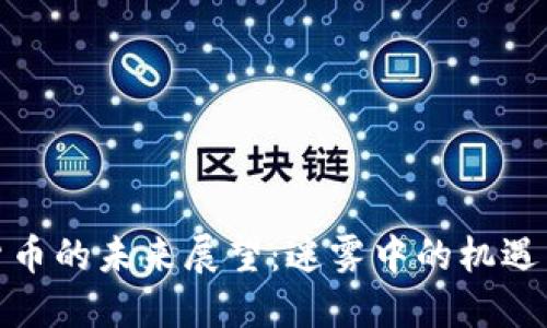 加密货币的未来展望：迷雾中的机遇与挑战