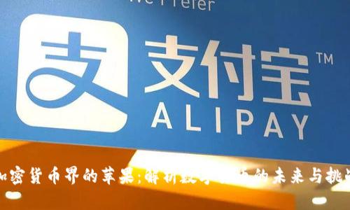 加密货币界的苹果：解析数字货币的未来与挑战