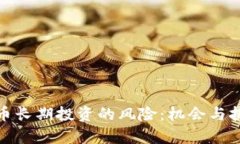 加密货币长期投资的风险