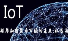 探索联邦加密货币市场的
