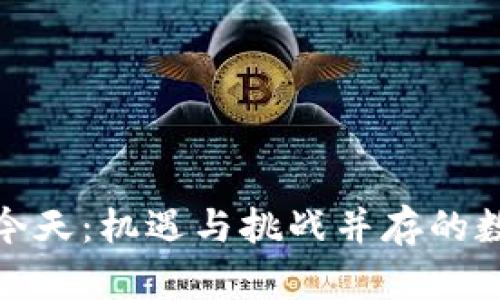 加密货币的今天：机遇与挑战并存的数字资产时代