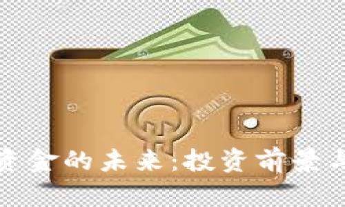 加密货币资金的未来：投资前景与风险分析