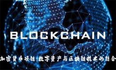 加密货币项链：数字资产