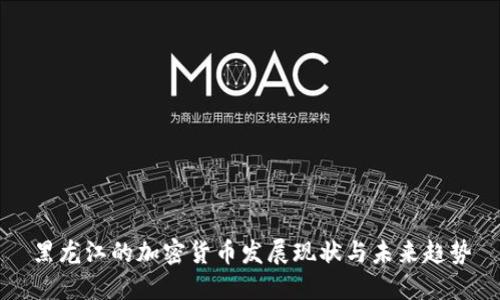 黑龙江的加密货币发展现状与未来趋势