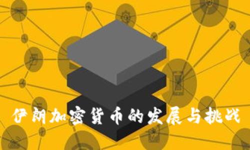 伊朗加密货币的发展与挑战