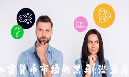 
2020年加密货币市场的黑马：潜力与前景分析