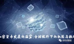 加密货币发展的国家：全
