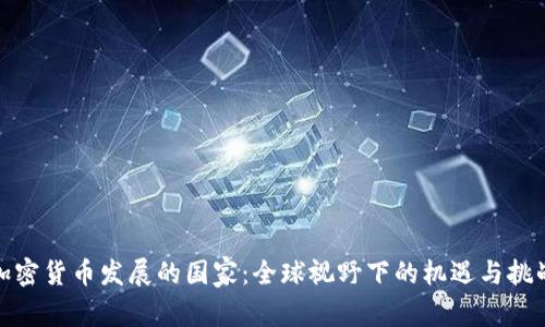 加密货币发展的国家：全球视野下的机遇与挑战
