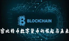 : 加密比特币数字货币的崛