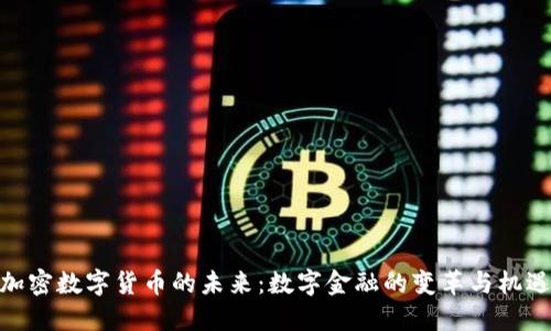 加密数字货币的未来：数字金融的变革与机遇