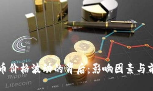 加密货币价格波动的背后：影响因素与前景展望