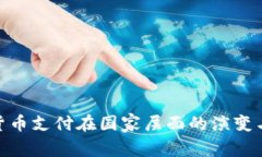 加密货币支付在国家层面