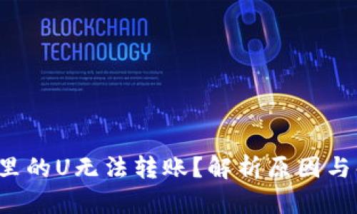  TP钱包里的U无法转账？解析原因与解决方案