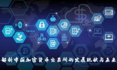全面解析中国加密货币交