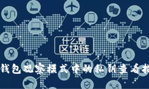 TP钱包观察模式中的私钥查看指南