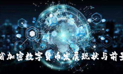海南省加密数字货币发展现状与前景分析