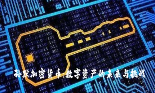  孙默加密货币：数字资产的未来与挑战