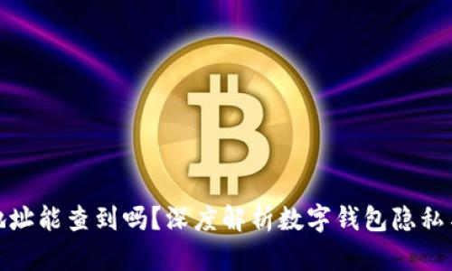 TP钱包地址能查到吗？深度解析数字钱包隐私与透明性