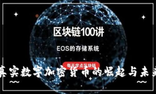 真实数字加密货币的崛起与未来