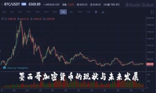 墨西哥加密货币的现状与未来发展