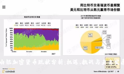 白银加密货币现状分析：机遇、挑战与未来发展