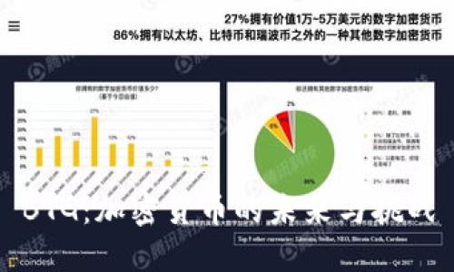BTG：加密货币的未来与挑战