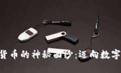揭开OVO加密货币的神秘面