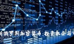 全面解析俄罗斯加密货币
