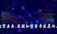 穿梭在数字未来：英国加