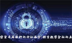 揭开加密货币再抵押的神