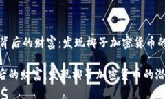 - 椰子背后的财富：发现椰
