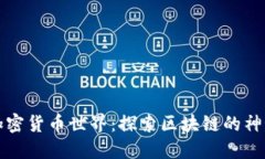 解密加密货币世界：探索