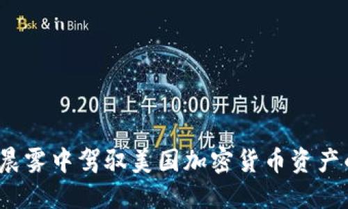 如何在晨雾中驾驭美国加密货币资产的浪潮？