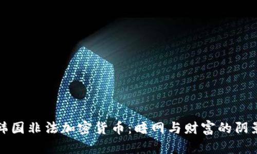 揭秘韩国非法加密货币：暗网与财富的阴影游戏