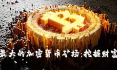 揭秘全球最大的加密货币