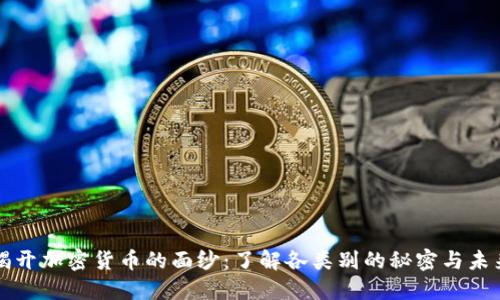 揭开加密货币的面纱：了解各类别的秘密与未来