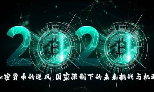 加密货币的逆风：国家限制下的未来挑战与机遇