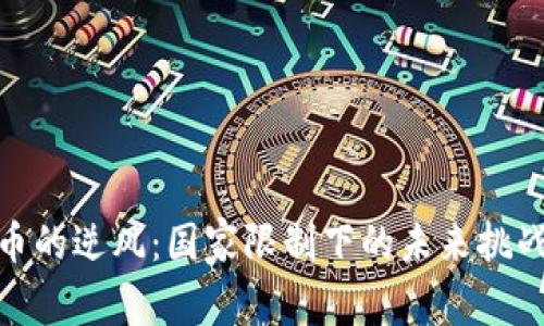 加密货币的逆风：国家限制下的未来挑战与机遇