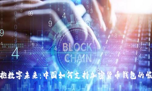 拥抱数字未来：中国如何支持加密货币钱包的崛起