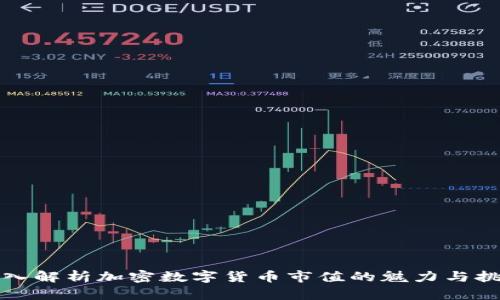 深入解析加密数字货币市值的魅力与挑战