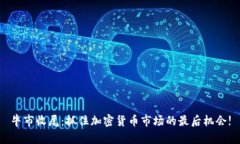 牛市收尾：抓住加密货币